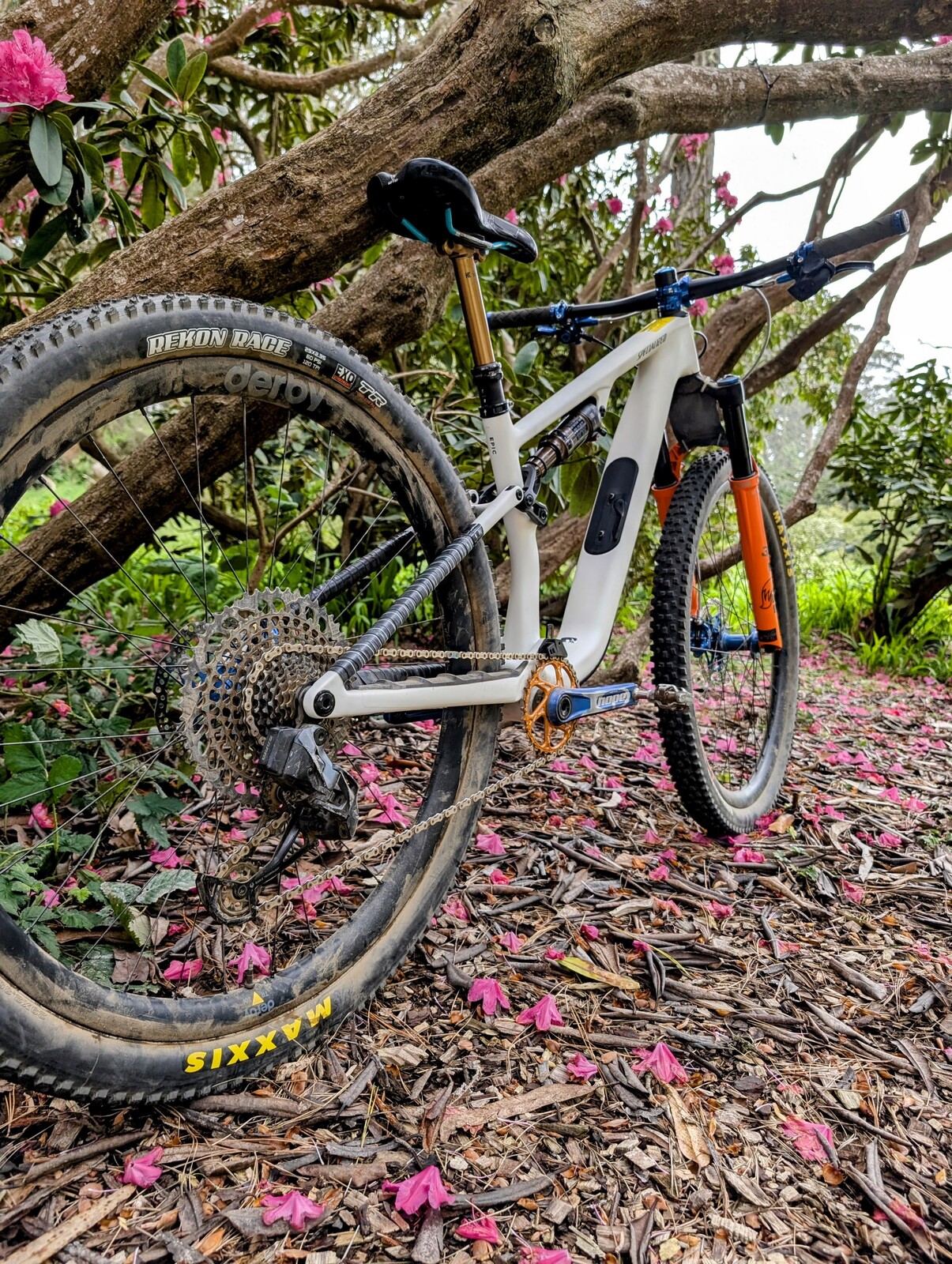 PXL 20250506 232818820~2