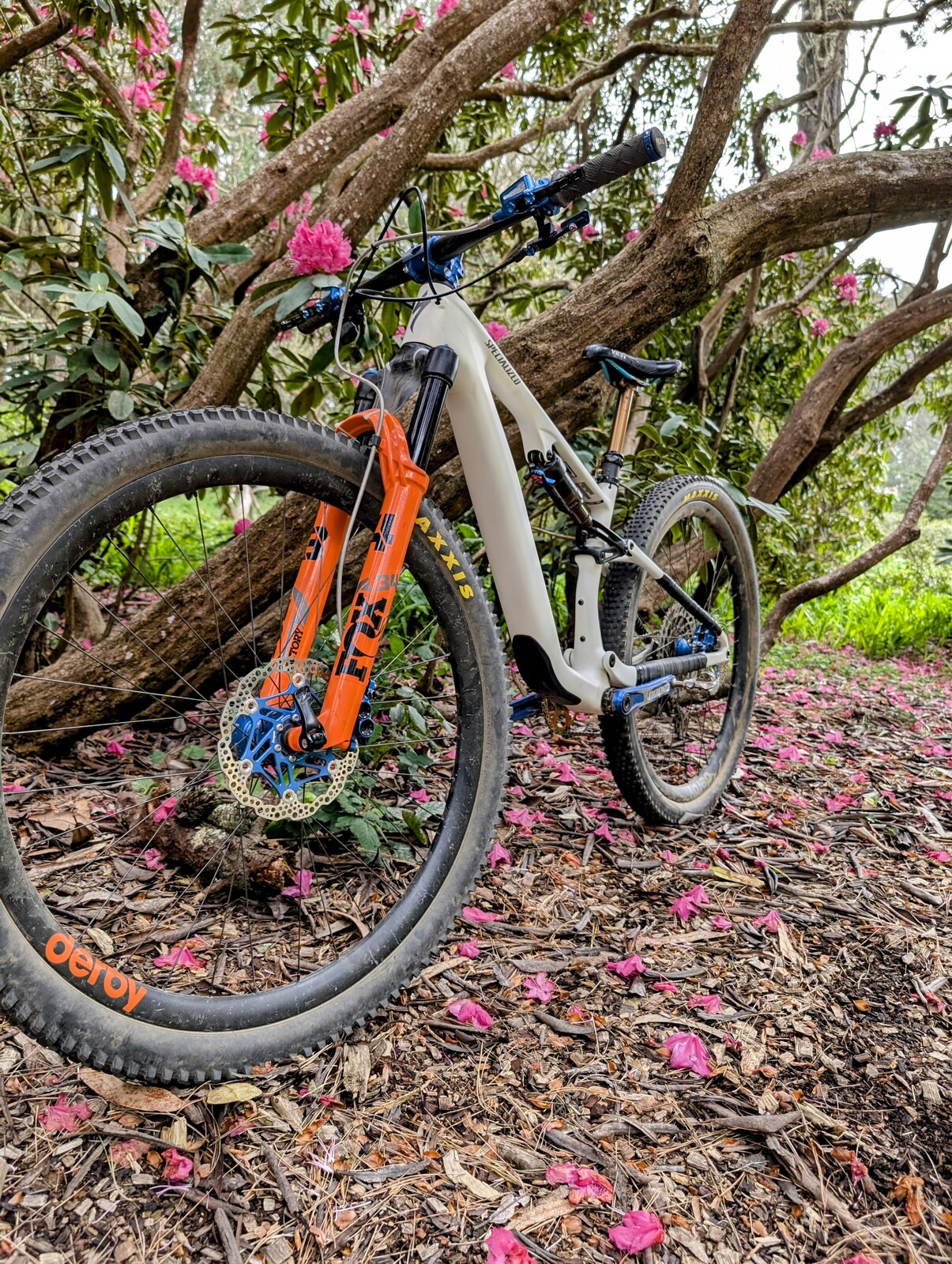 PXL 20250506 232847244~2