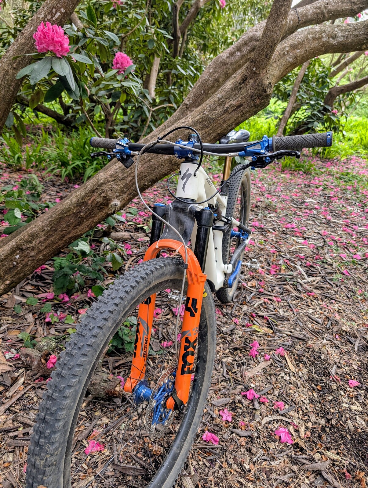 PXL 20250506 232850094~2.jpg?VersionId=B7Pm5VypV8OjomcH.kLpbK3hxA6G