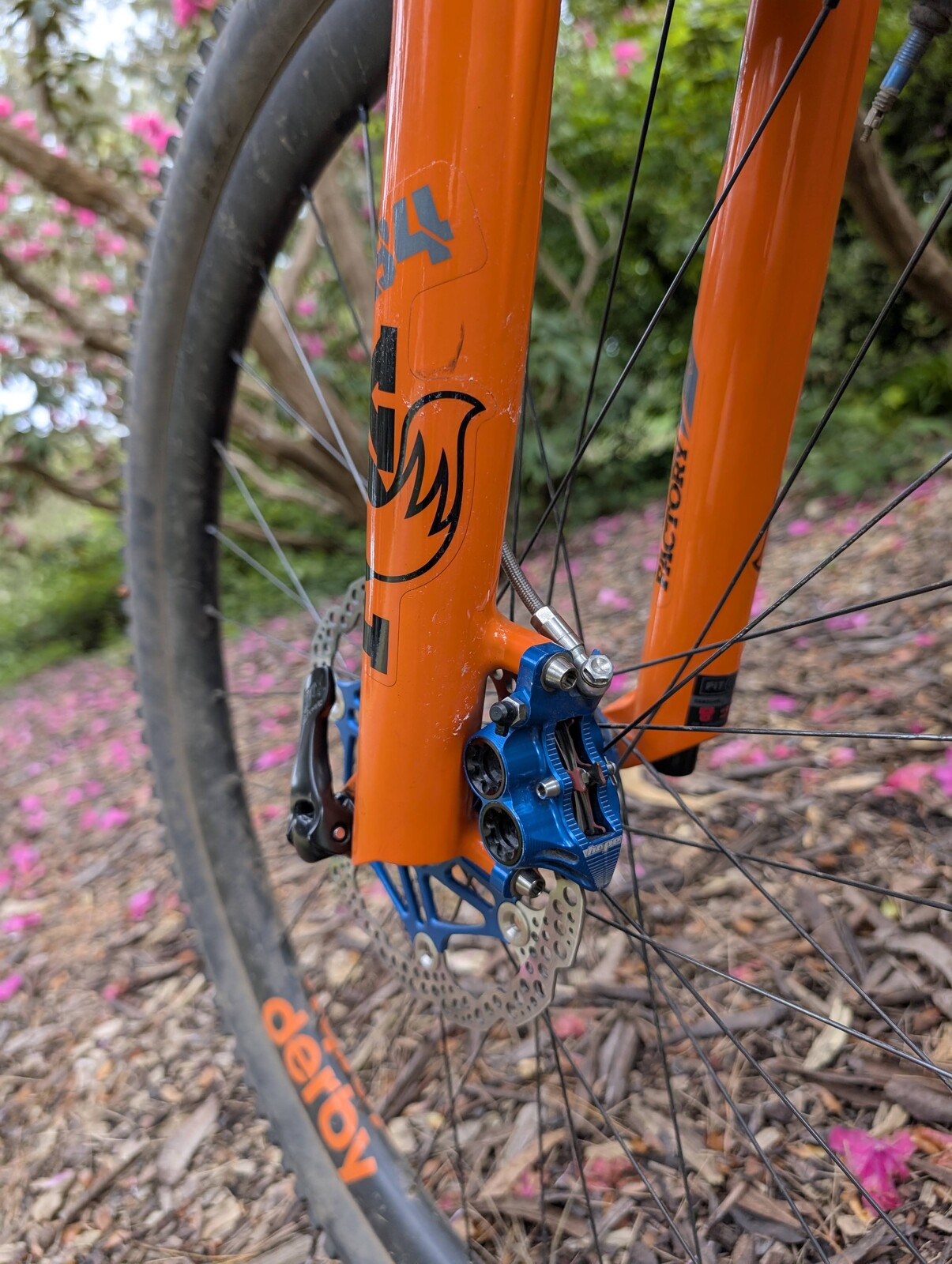 PXL 20250506 232857710