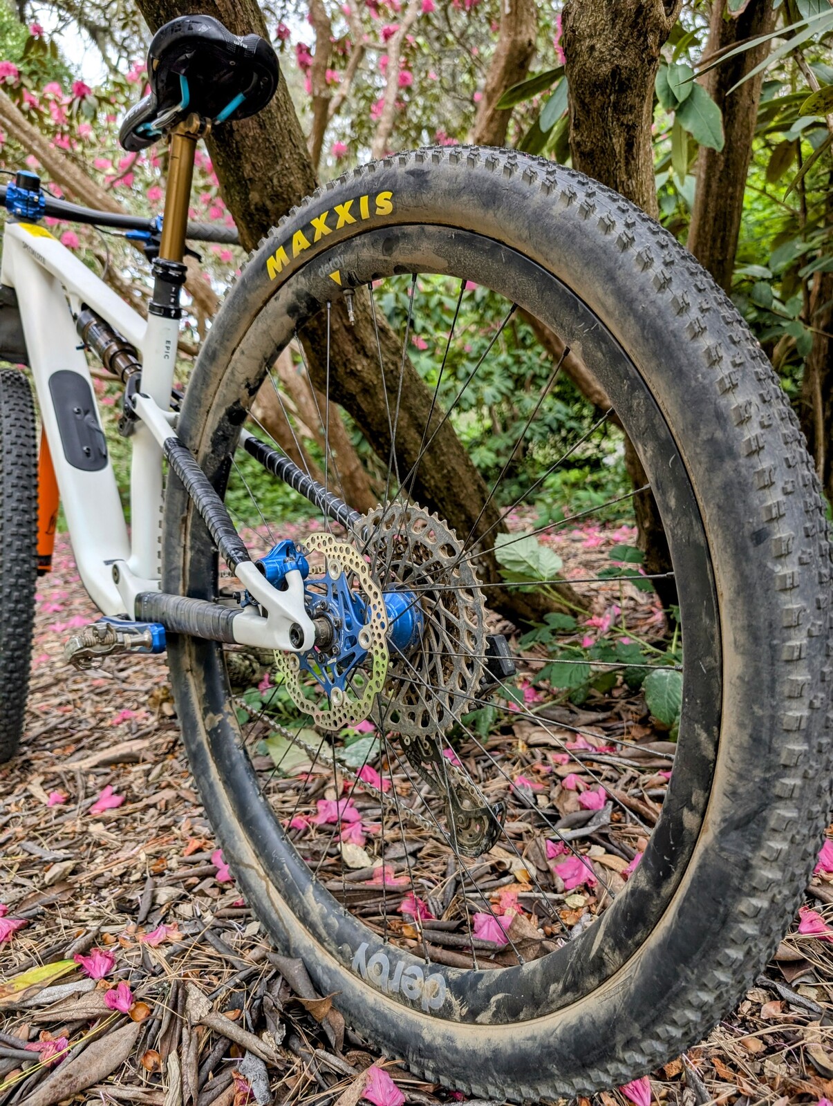 PXL 20250506 232905394~2