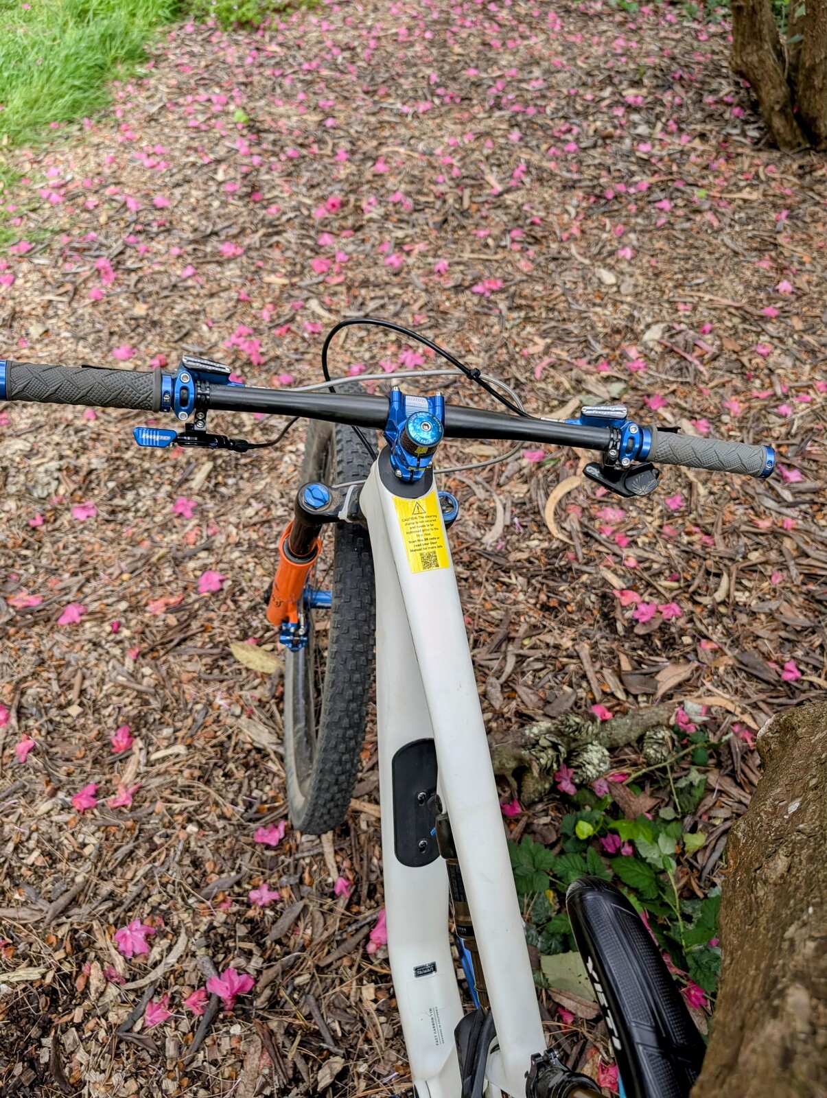 PXL 20250506 232917694~2