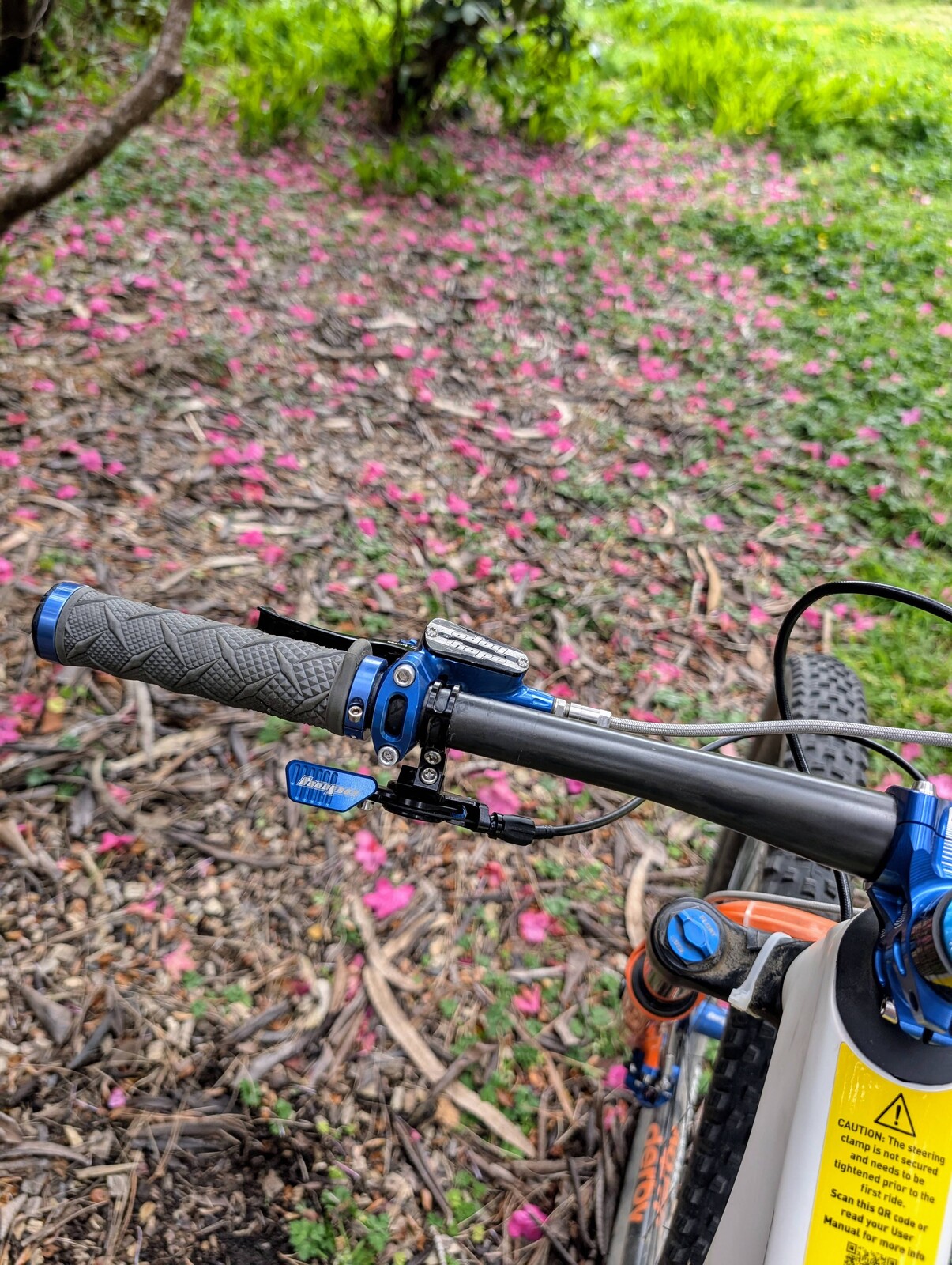 PXL 20250506 232949669~2.jpg?VersionId=RSniX4LX0B.U3uoW6e3l