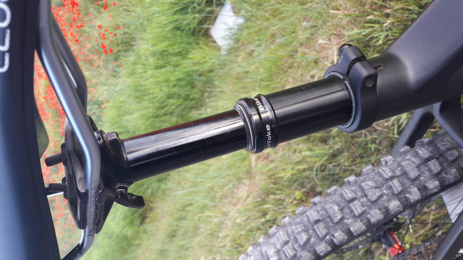 trek fuel exe mullet dom's Bike Check Vital MTB