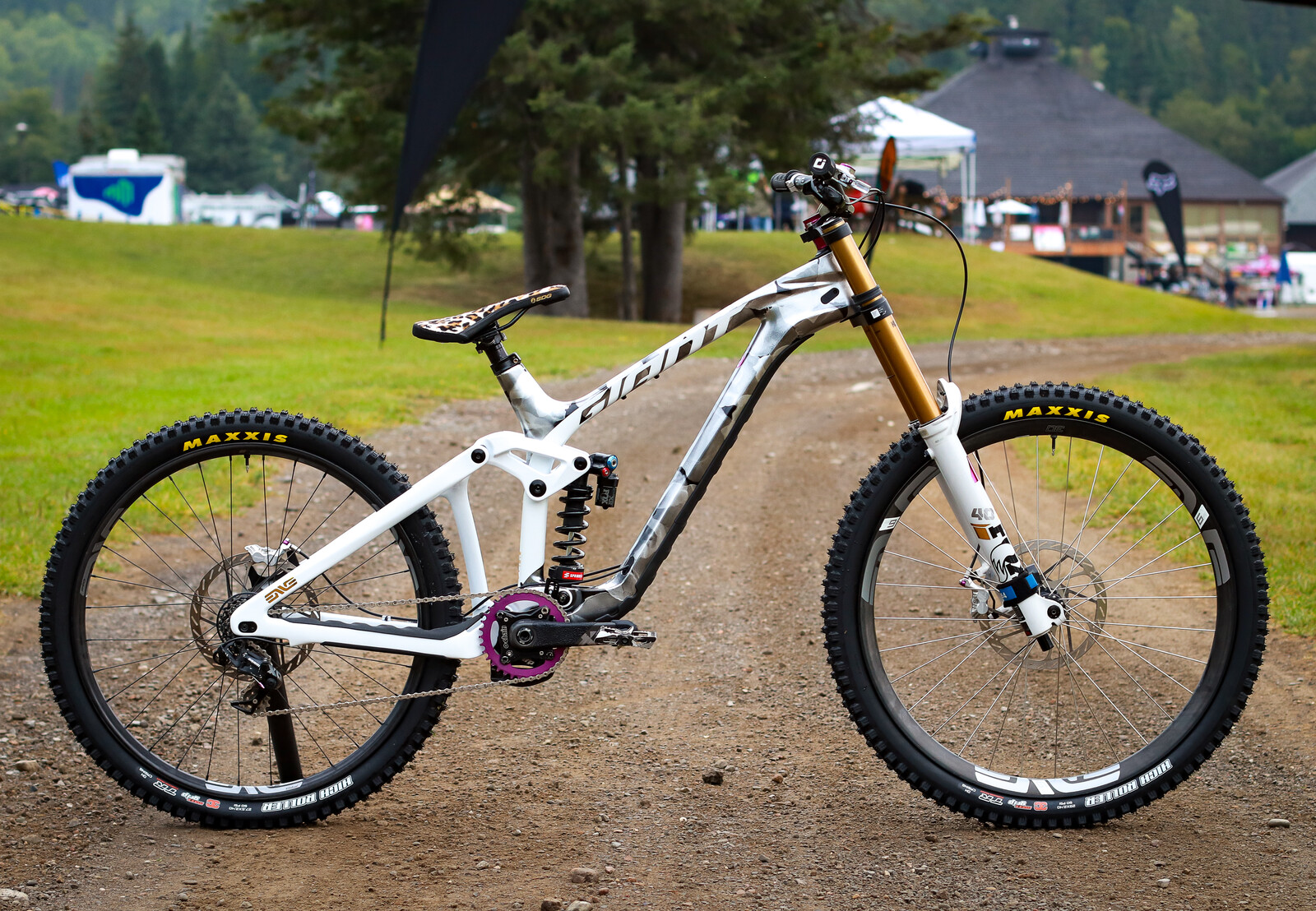 2025 Giant Glory advanced White and purple rain - Julien555's Bike