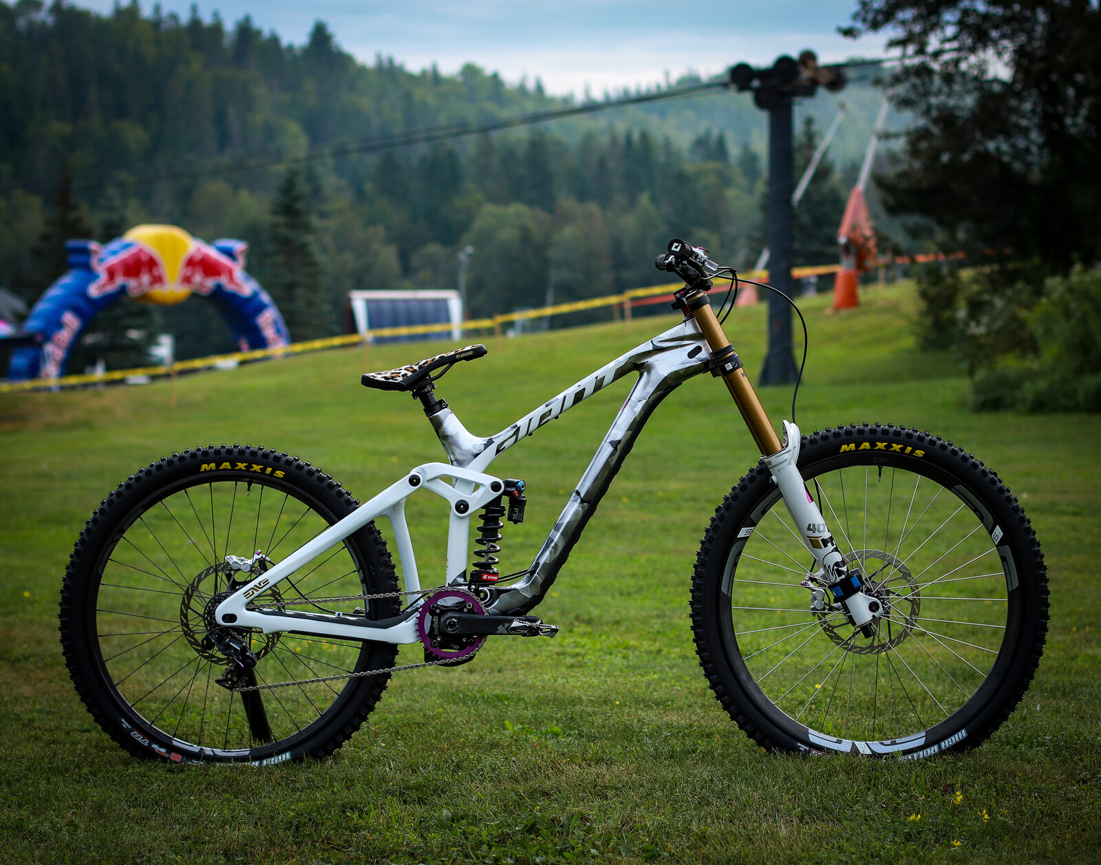 2025 Giant Glory advanced White and purple rain - Julien555's Bike