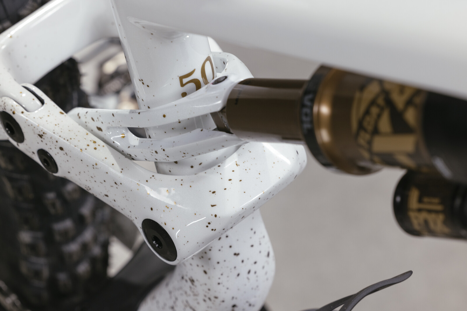 S-WORKS SJ15 Fox 50th Anniversary - DarthSchrader's Bike Check