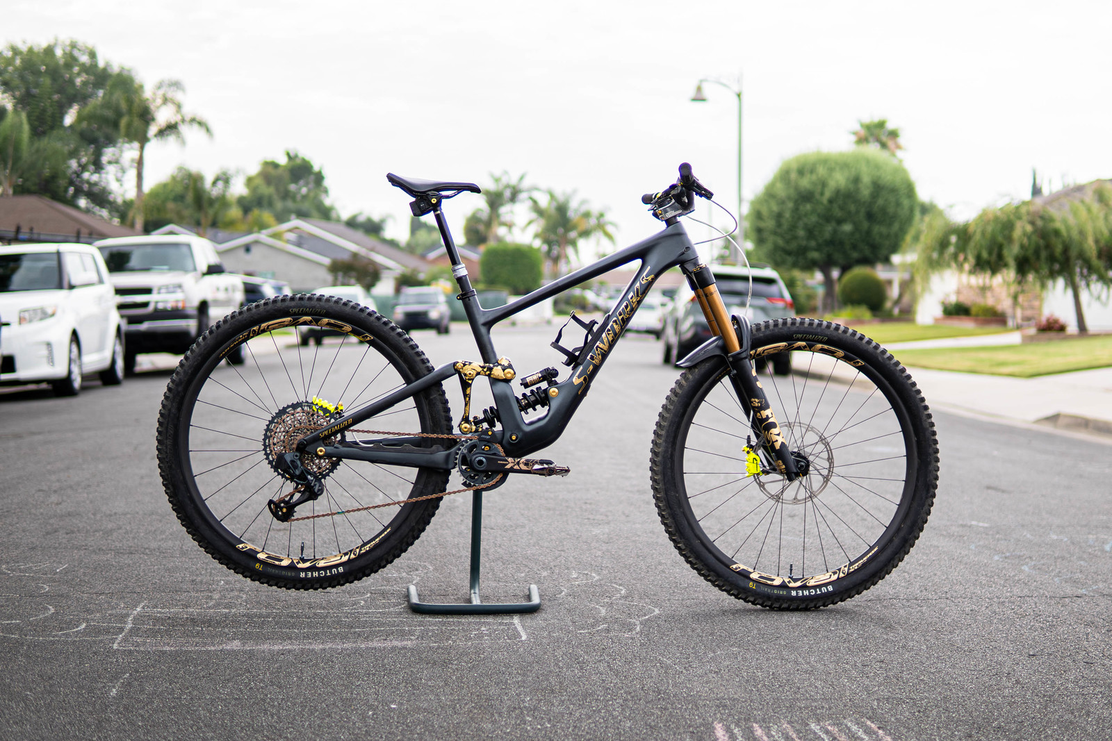 DSC01351-Enhanced-NR