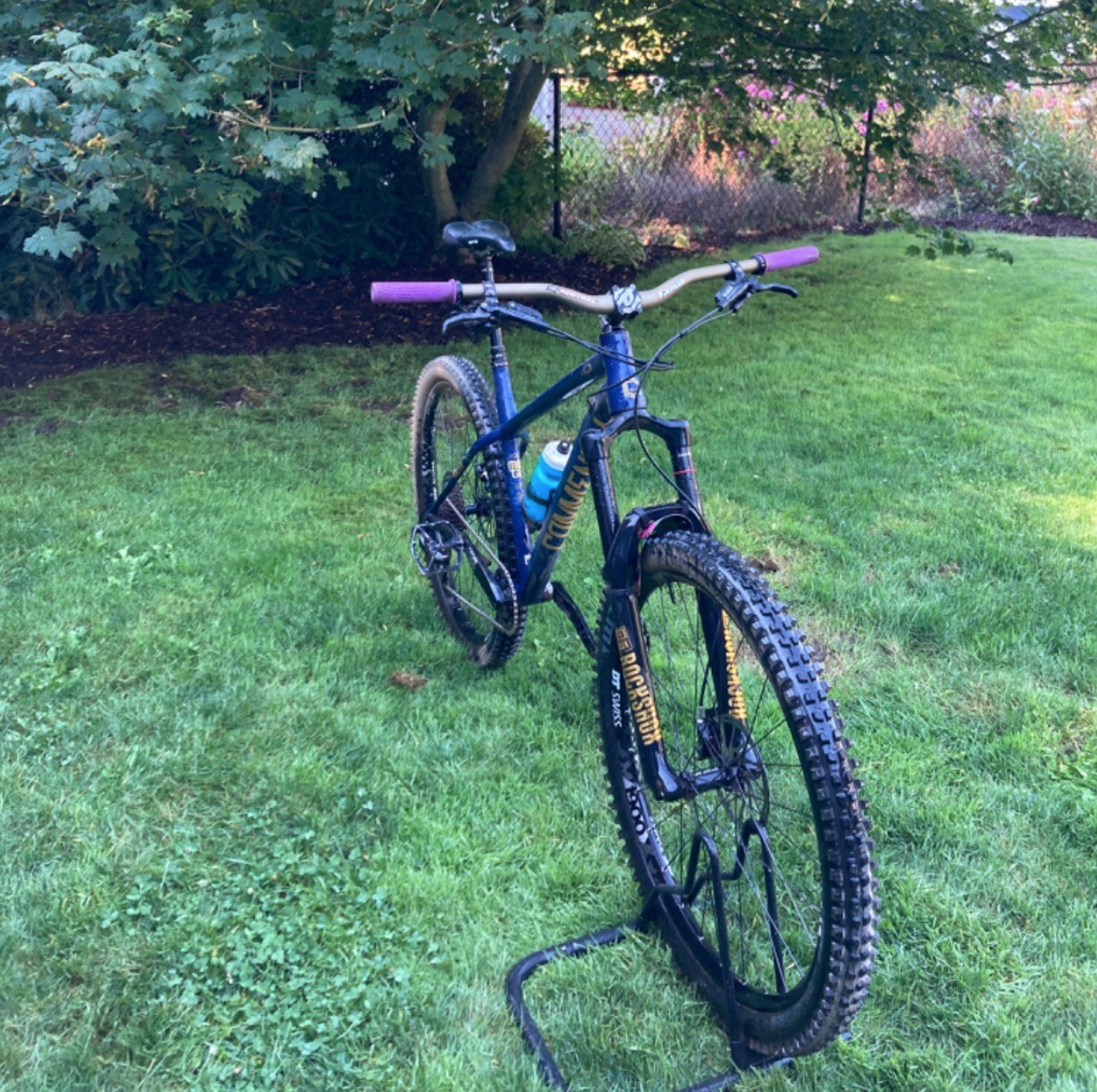 Radical Steed that i ride every day Radical Steed that i ride every day