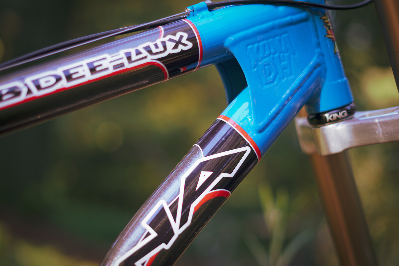 DSC05998.JPG?VersionId=0Zy