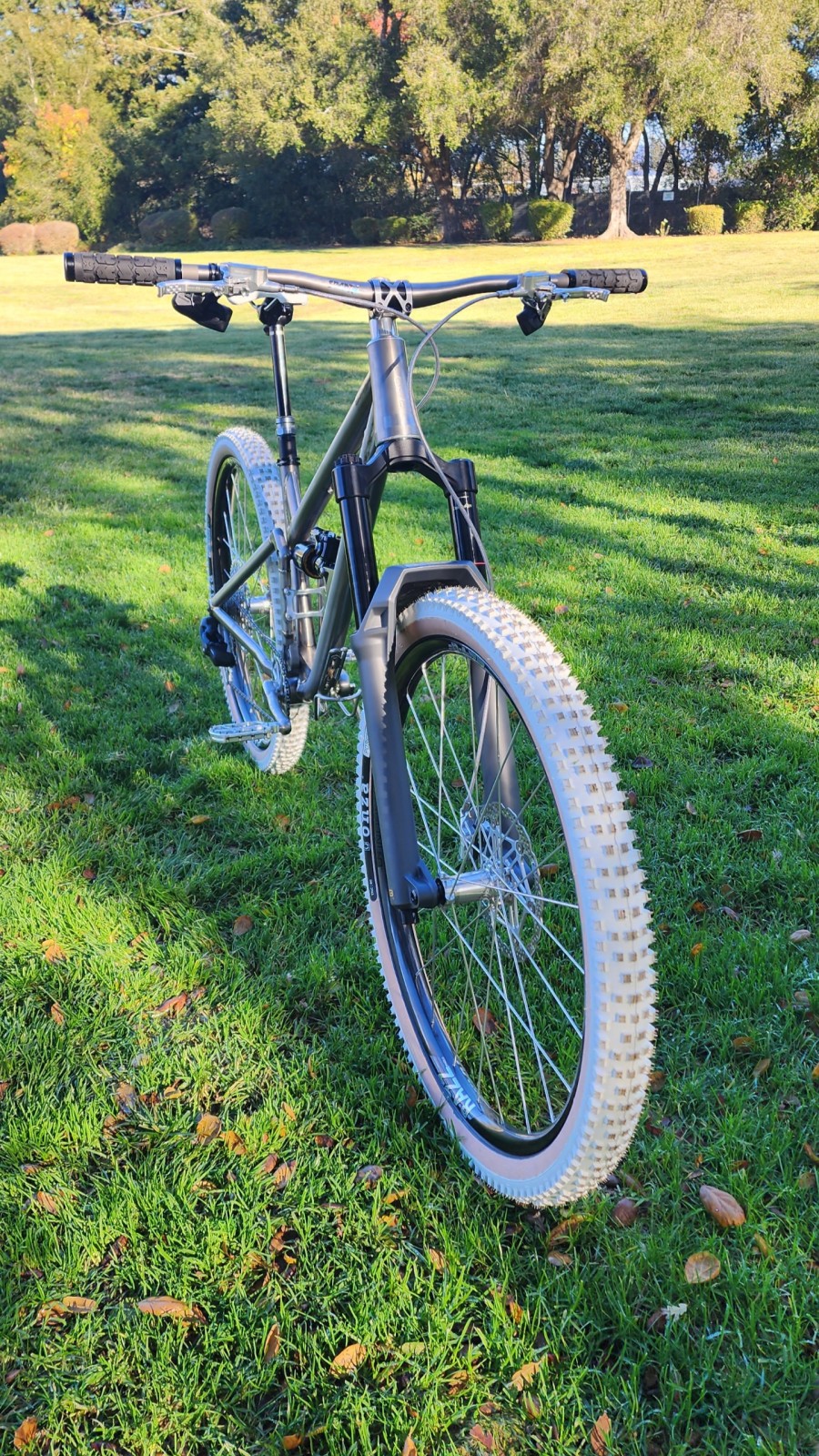 KINGDOM VOID 160 - hldiv's Bike Check - Vital MTB