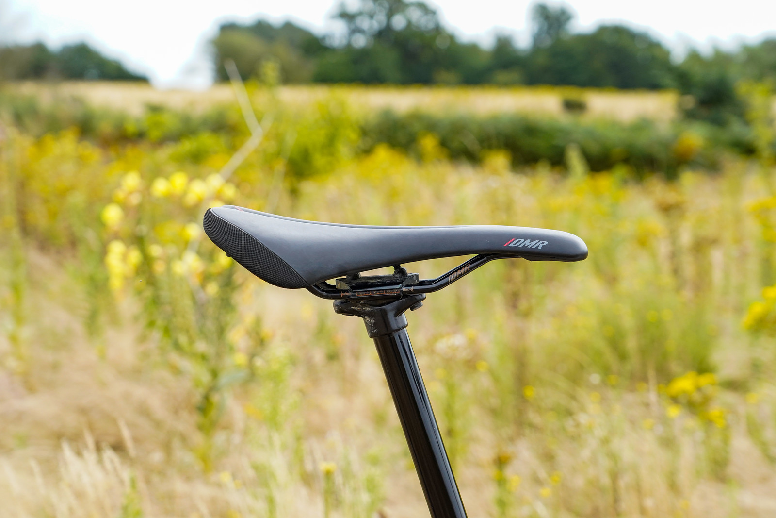 Kerenza Scott's Focus Jam - dmrbikes's Bike Check - Vital MTB