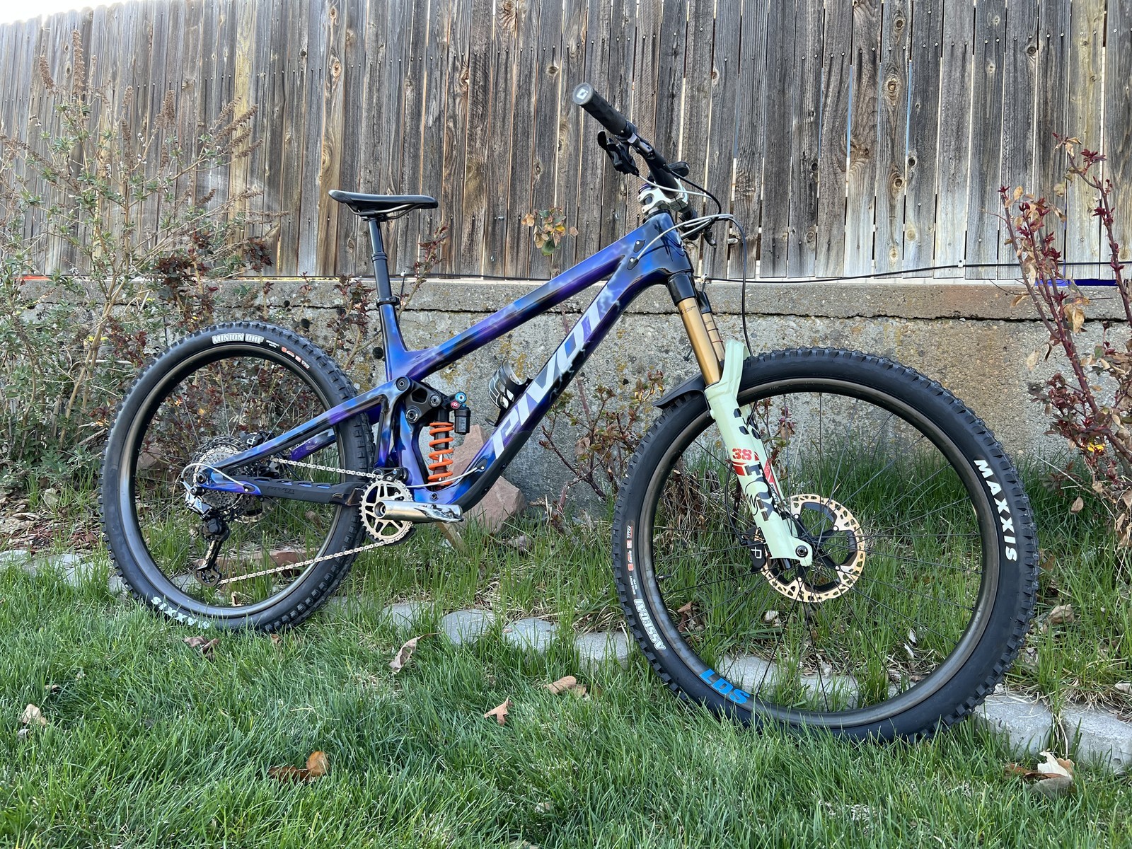 pivot firebird mullet