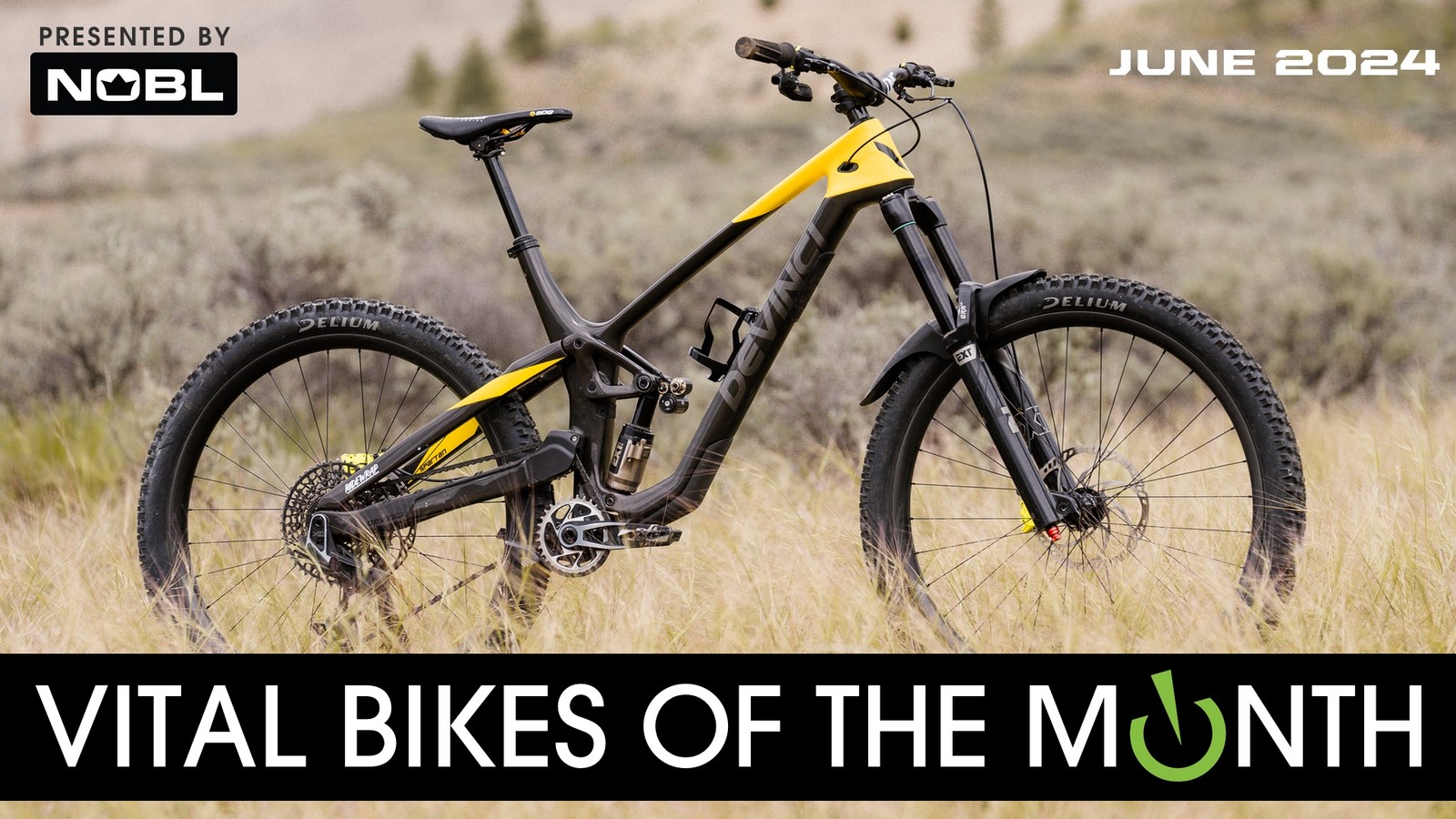 Vital Bikes of the Day, June 2024