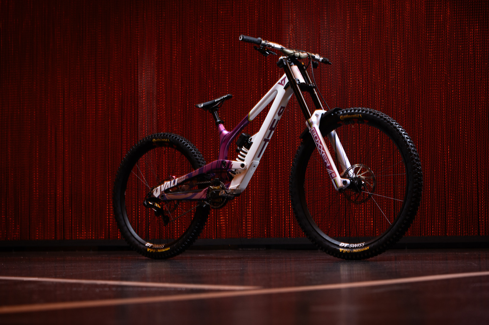 Vali Höll's Custom YT Tues for the 2024 World Championships