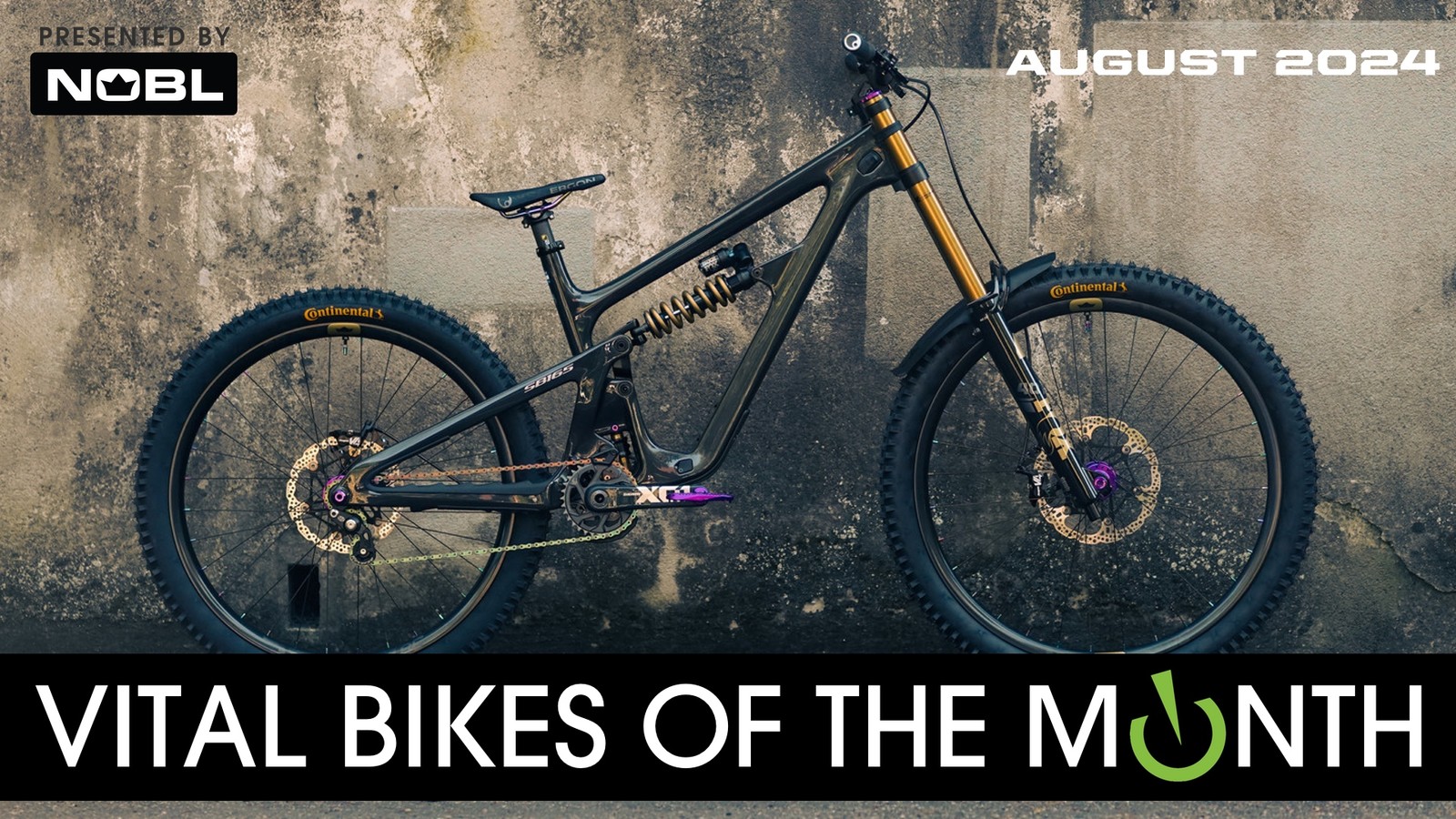 Vital Bikes of the Day, August 2024