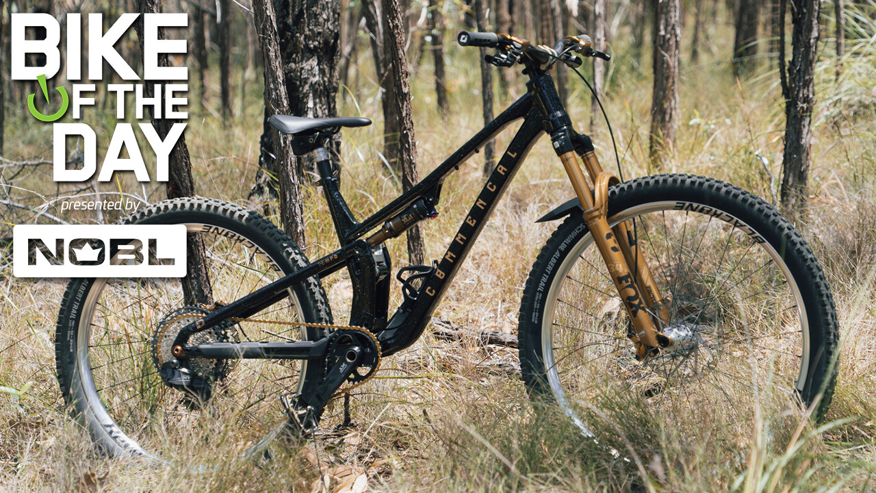 Tempo gold FB.jpg?VersionId=g kT7dg5.53zgjlFh9.gQ7a 6R0C