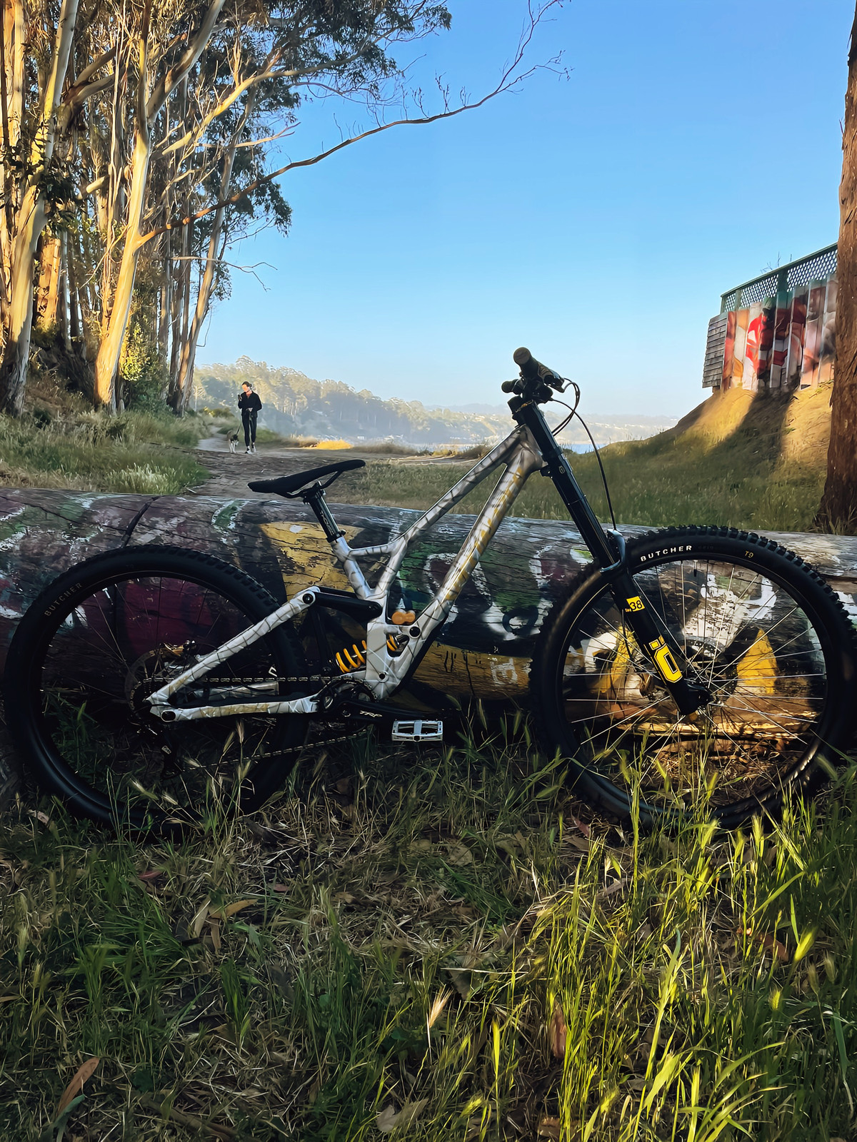 2024 Specialized Demo 8 - St4tusQu0's Bike Check - Vital MTB