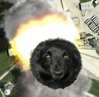 Profile picture for user snowsnakes