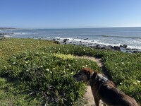 Profile picture for user comatosegi