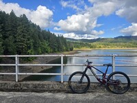 Profile picture for user mnickle541