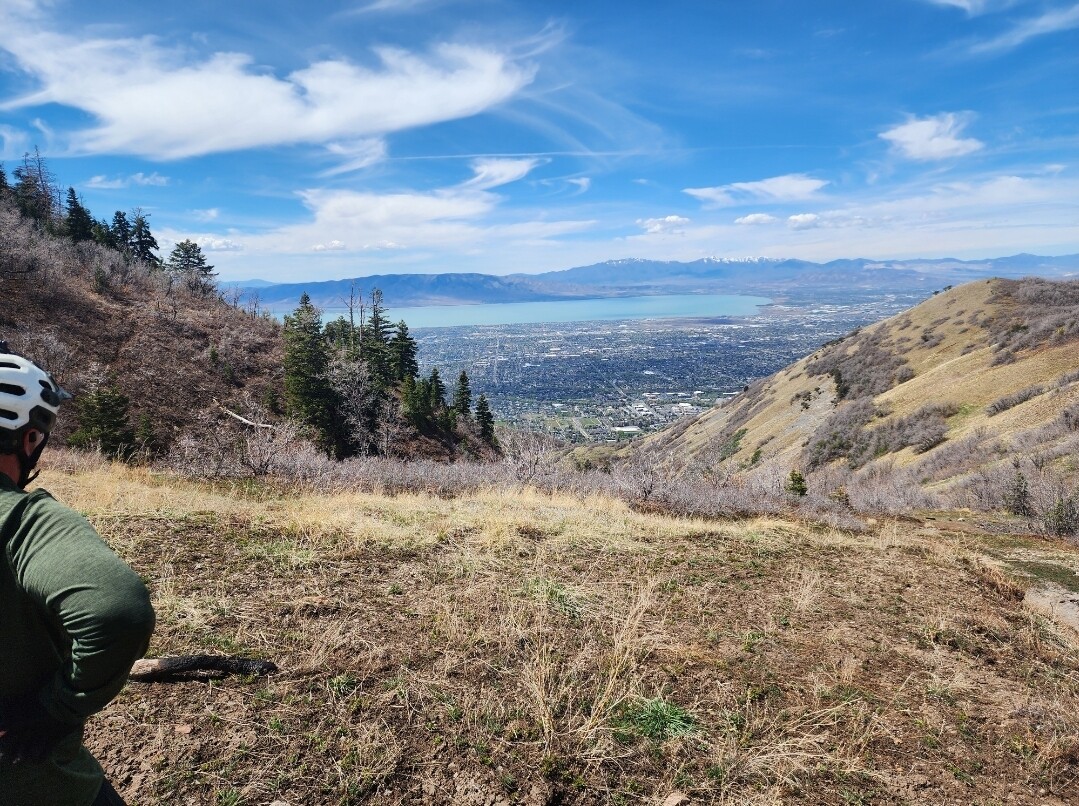 1000016686 0.jpg?VersionId=m8EyZLd