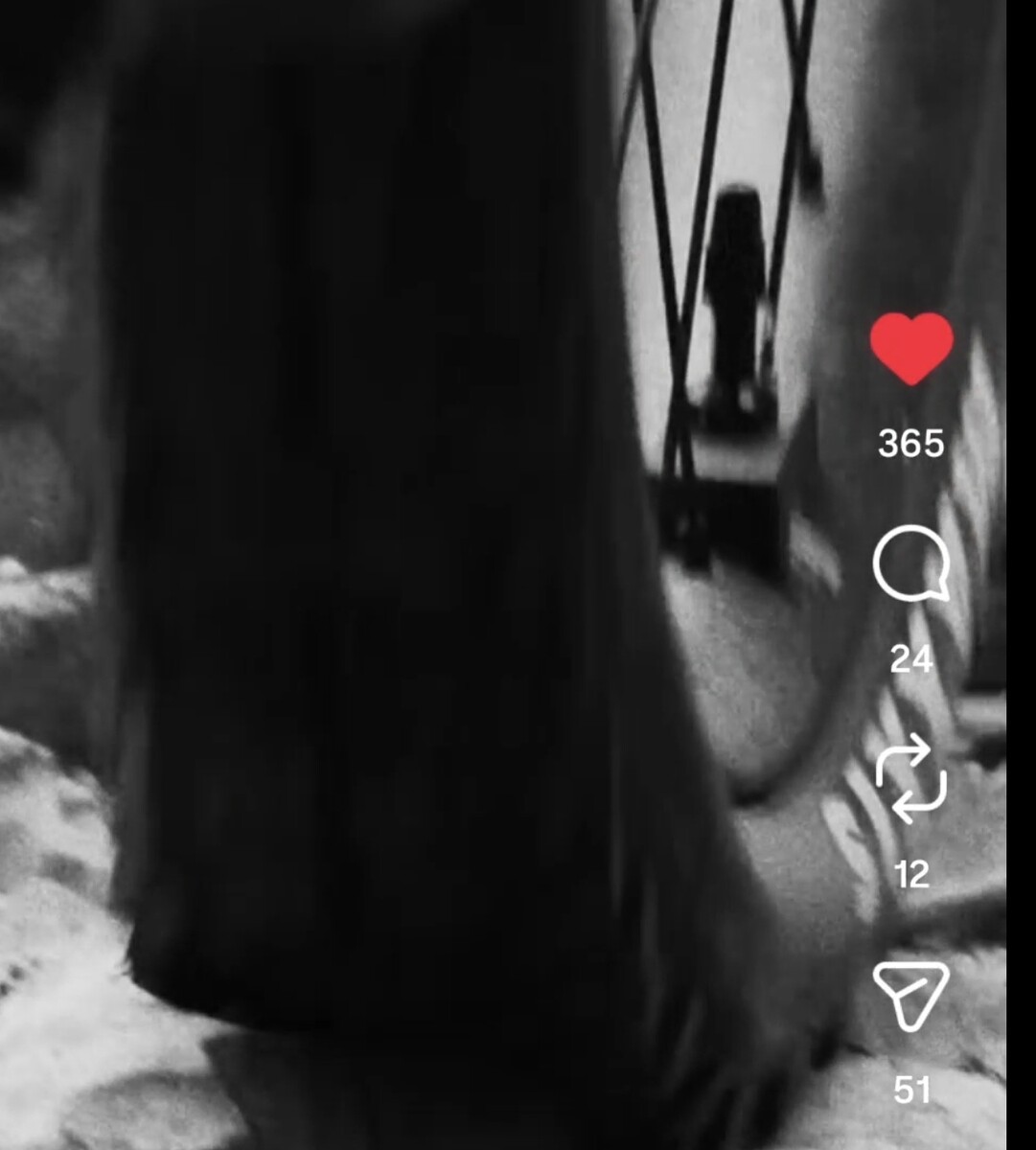 16369.jpg?VersionId=HuXitG4QwuRajQtCv.jRguDqTTe76n