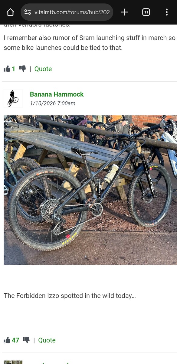 17247.jpg?VersionId=8VQeMmeefXFpgPRR0jHFWJQQ4eXDxi8