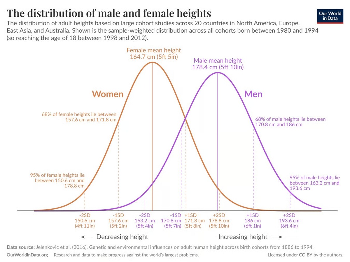 17555426292284411681651501718117