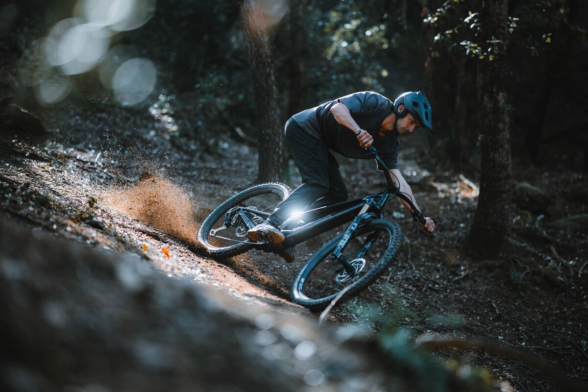 28beedc1-1ddd-df93-8f8d-46bbe740e817