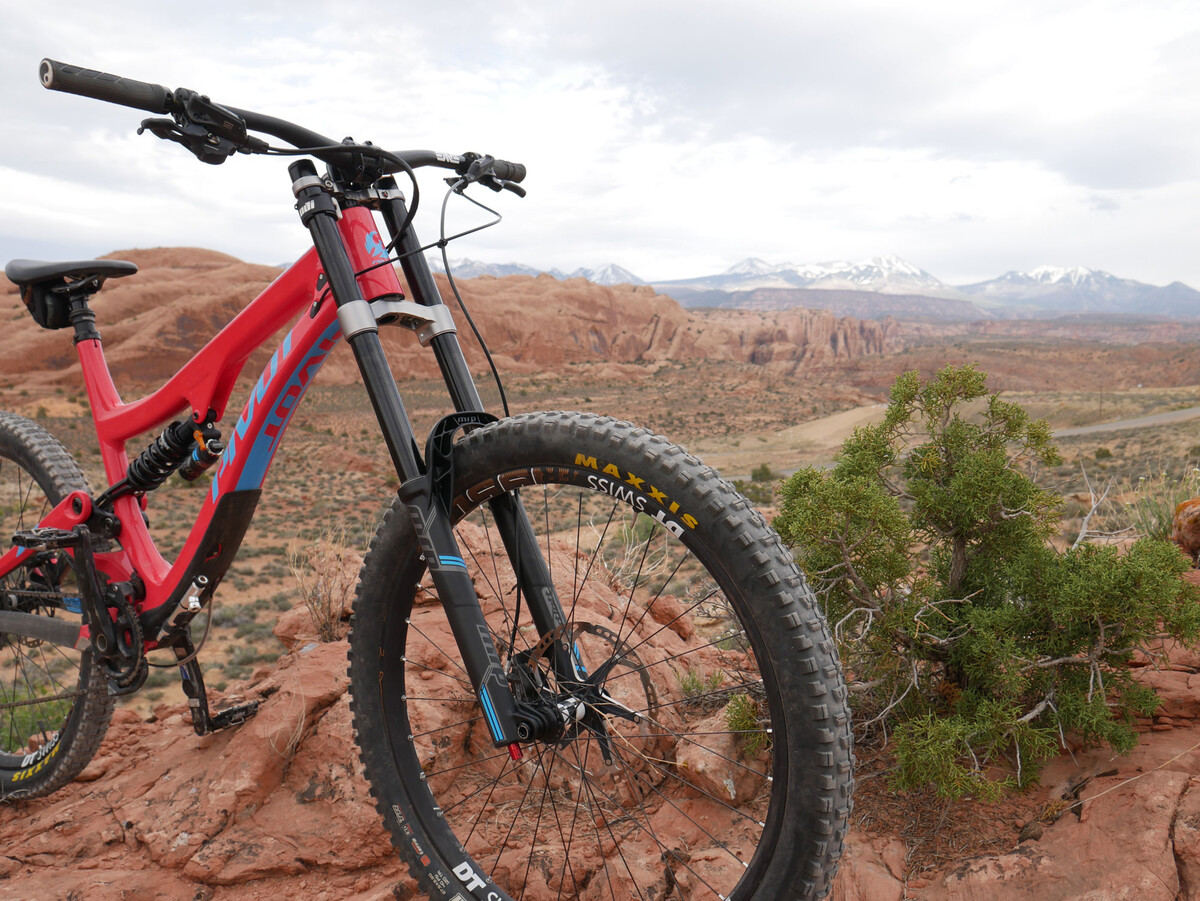 Freebird.jpg?VersionId=nS8YViCjYUN7aUfM8KJ7zRMo983Wb