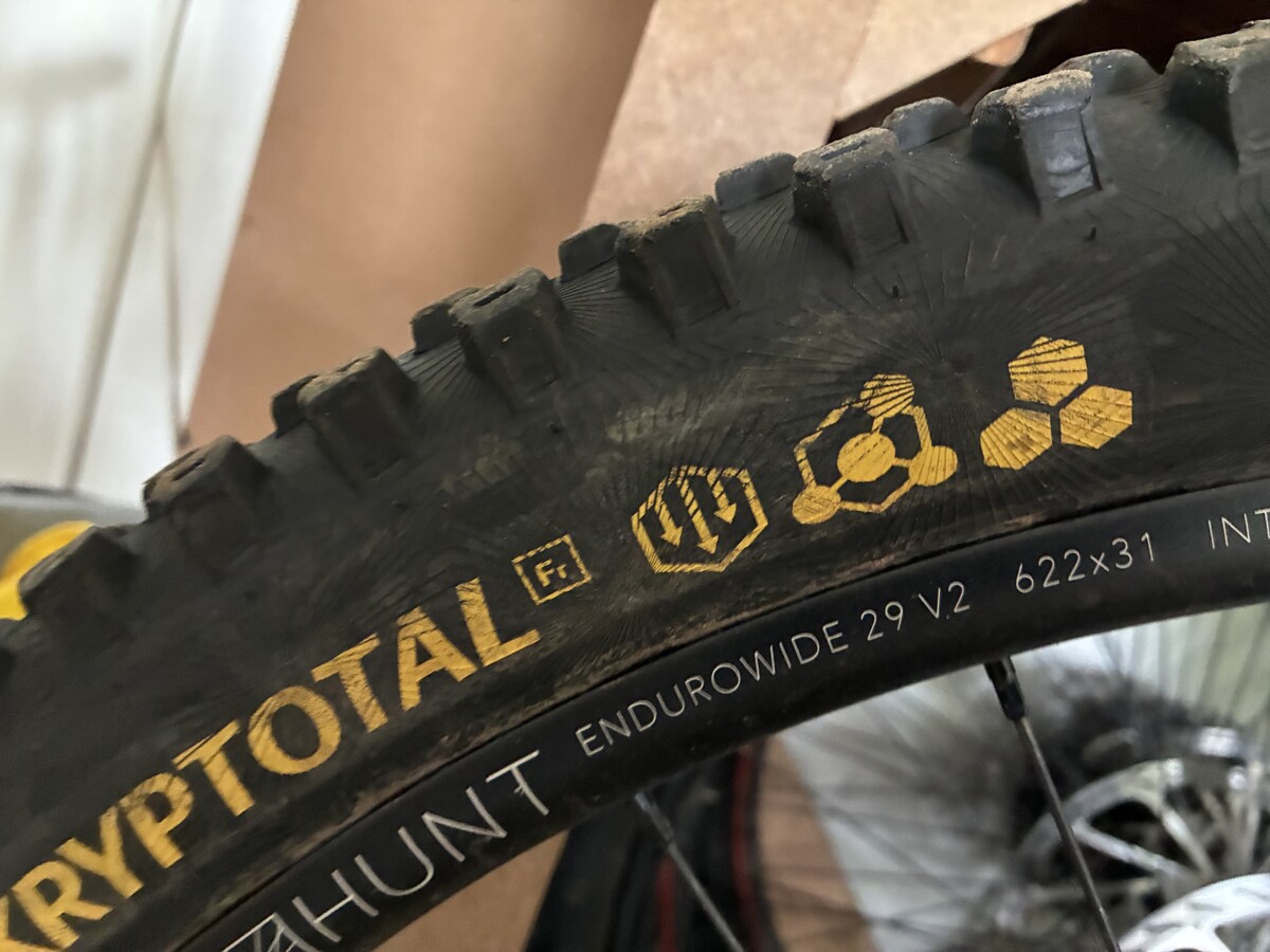 IMG 2029.jpeg?VersionId=fKHahLnDnsy4eWK8uhl