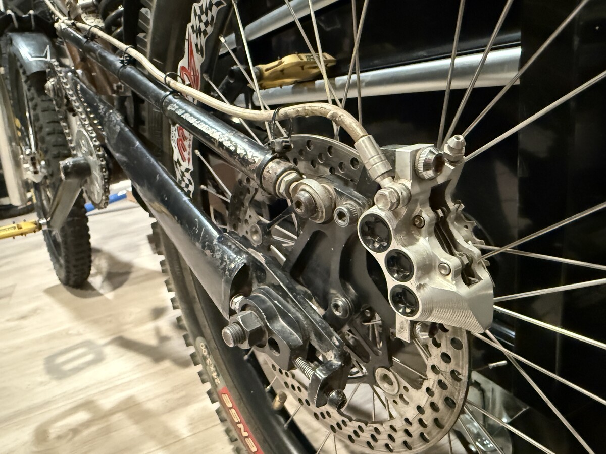 IMG 3636.jpeg?VersionId=EnpGBCwrEDtds7mH15.9v