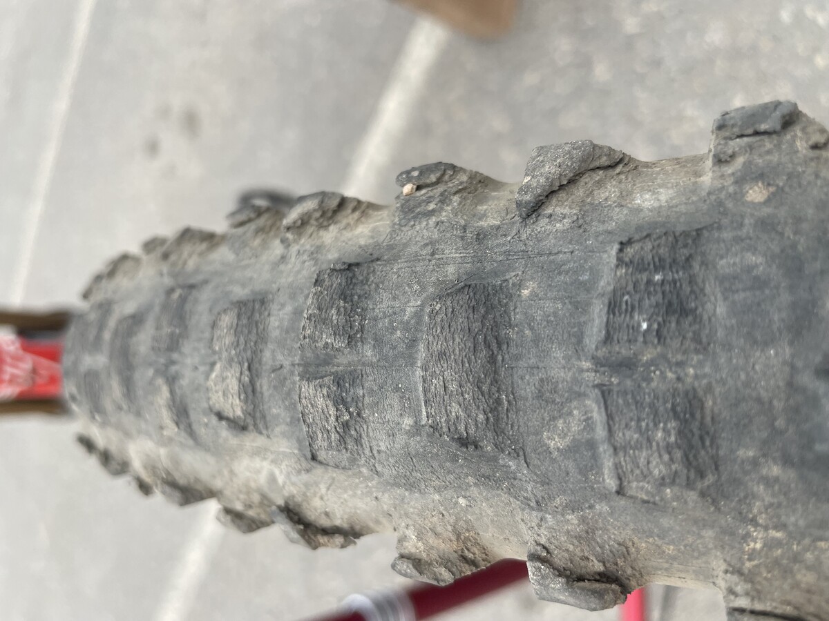 IMG 3886 0.jpeg?VersionId=81oCLc11s9szaBOUaRjyiF7IclBTMQ