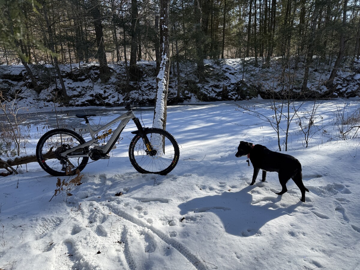 IMG 6592.jpeg?VersionId=HFfAp2s lEz01atwCtu