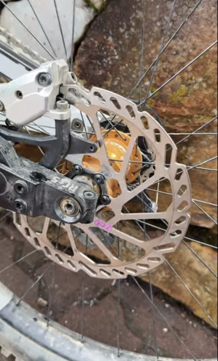 IMG 7849.jpeg?VersionId=L2t