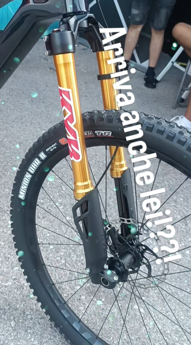 IMG 8515.jpeg?VersionId=xmQX6u