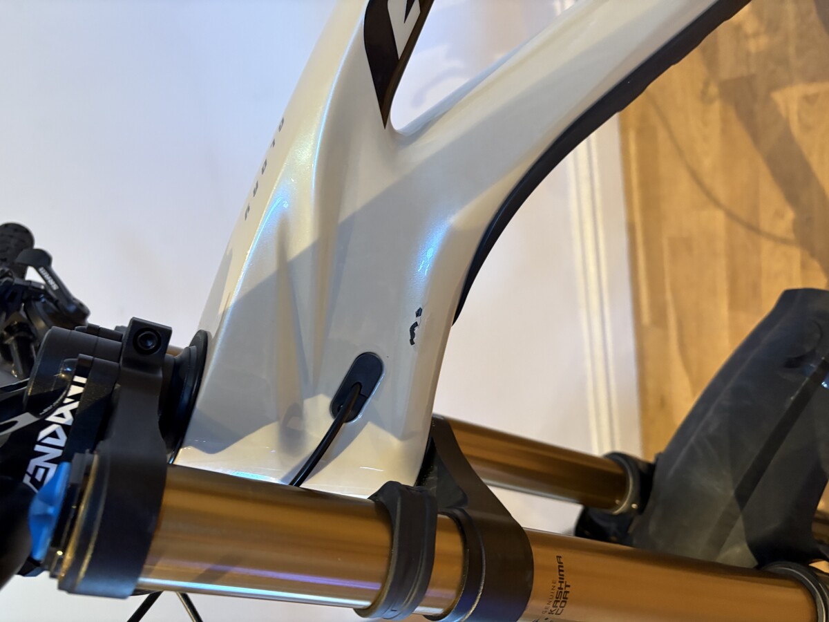 IMG 8580.jpeg?VersionId=cN64Erbd9dZHCO1Mx2Tvgv3WpdiNshe