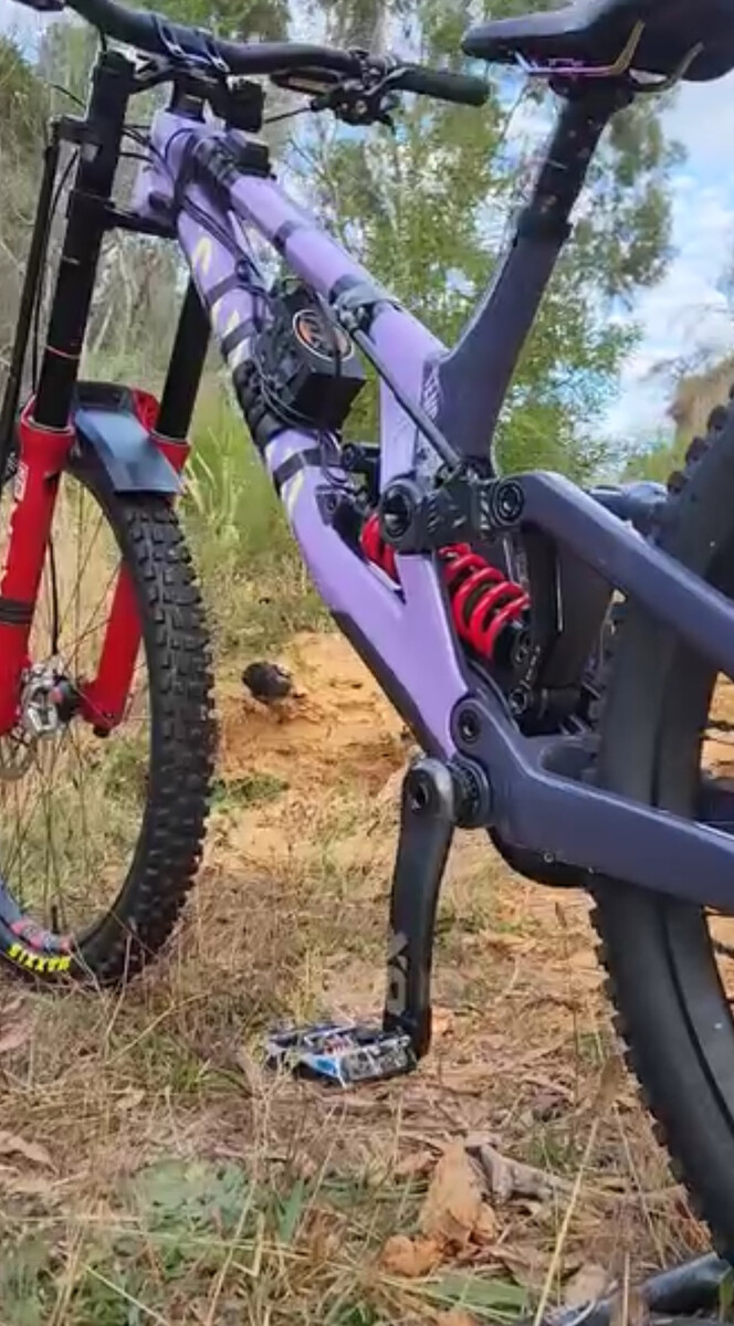 IMG 9380.jpeg?VersionId=AfIbl4gyC9al3UAGDaPMnRRJqr9L