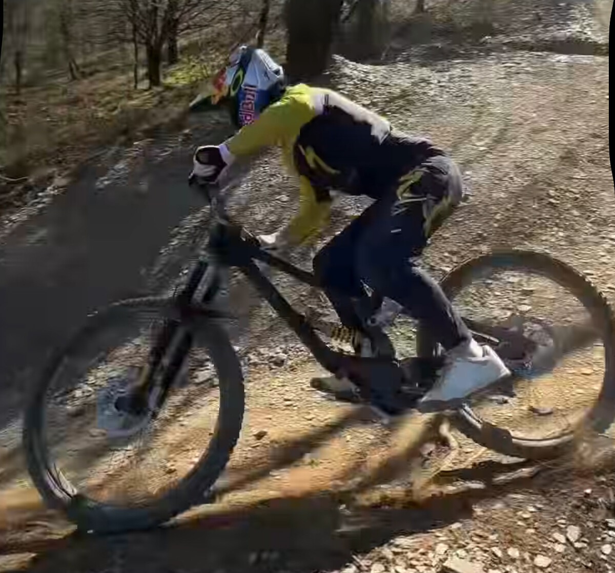 IMG 9613.jpg?VersionId=o7s3Z2PkYJWSeoi7db0yFGQP1YWME