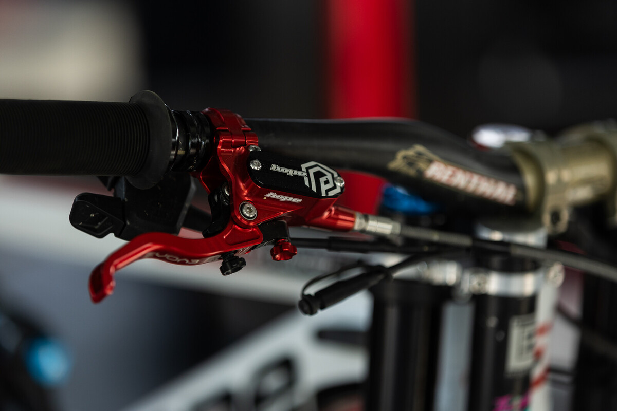 IMG 9884.jpeg?VersionId=onL