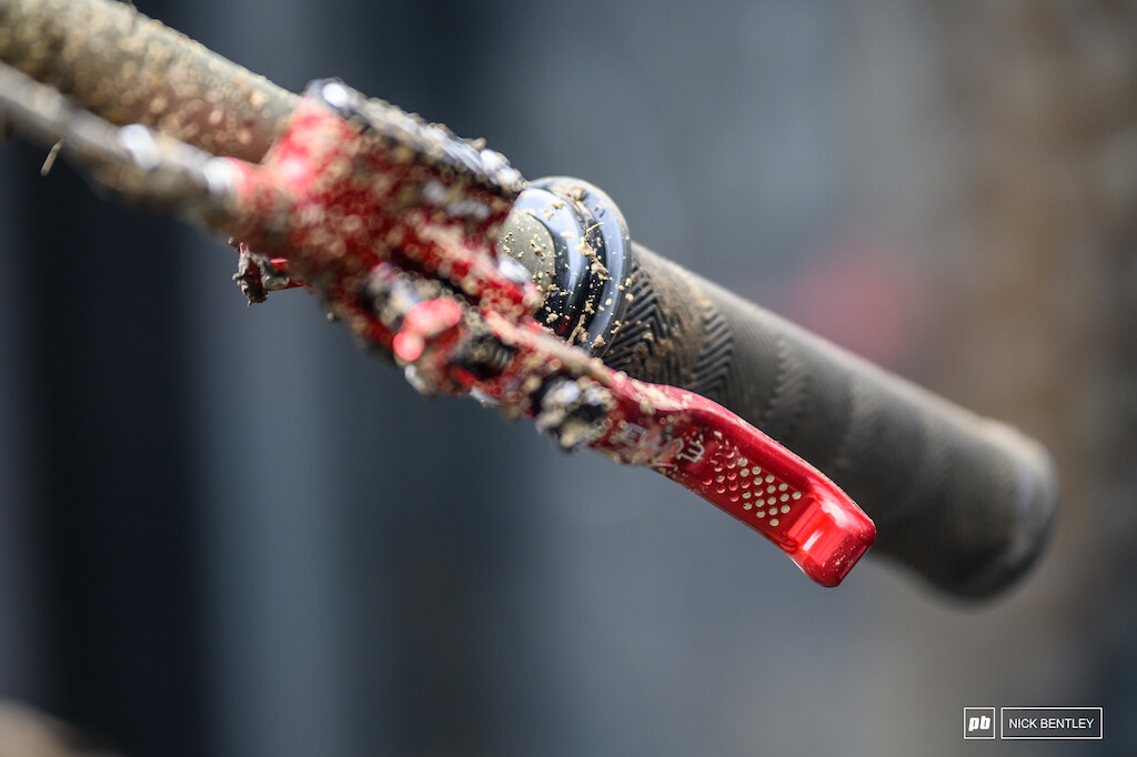 IMG 9888.jpeg?VersionId=ybPMaIioLze7tjPNhn