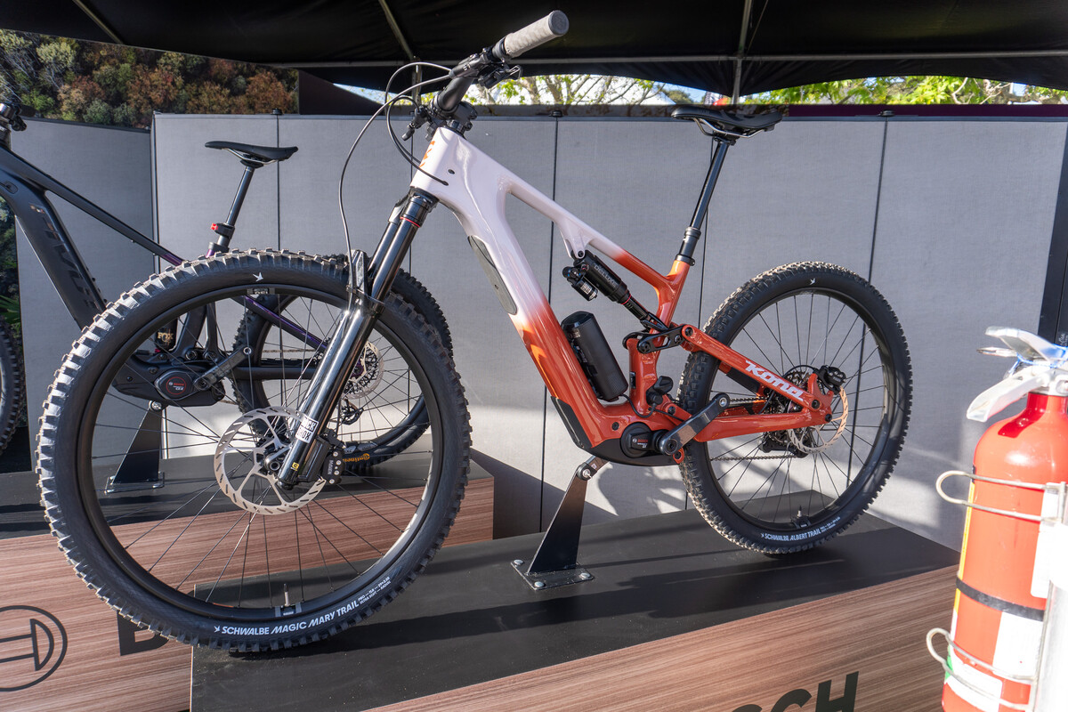 SeaOtter2026-21.jpg?VersionId=J18 Hd67aLMYQIW.Mhnxb38AsuVt5A.