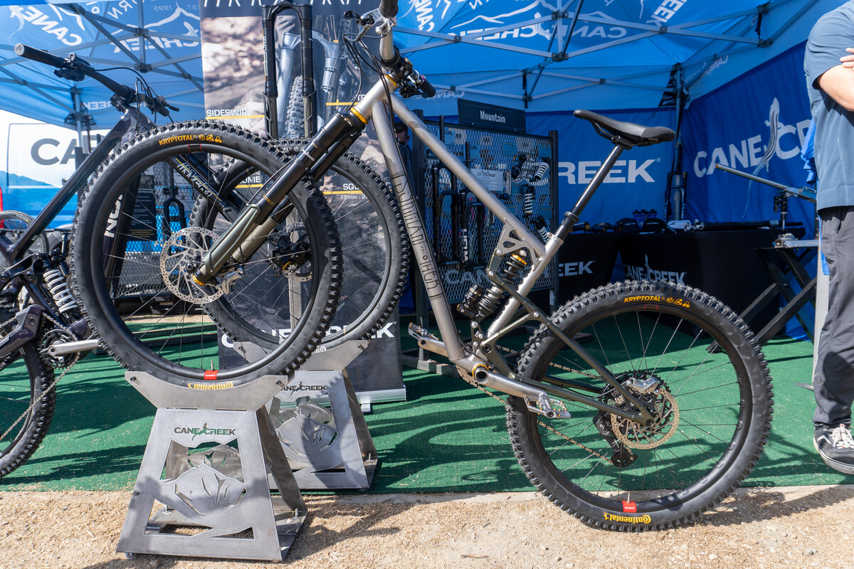 SeaOtter2026-6.jpg?VersionId=ODv02UARREH6itYZq LA