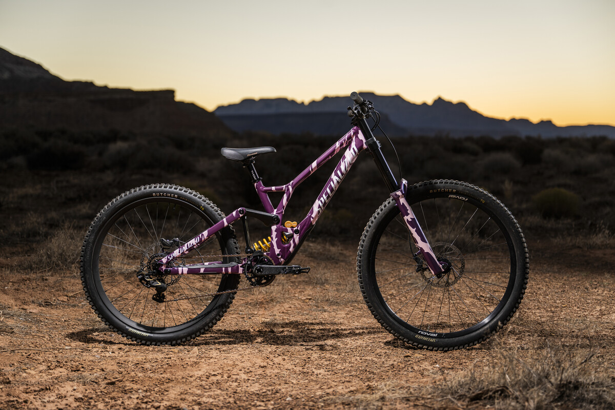 DSC7215.jpg?VersionId=x