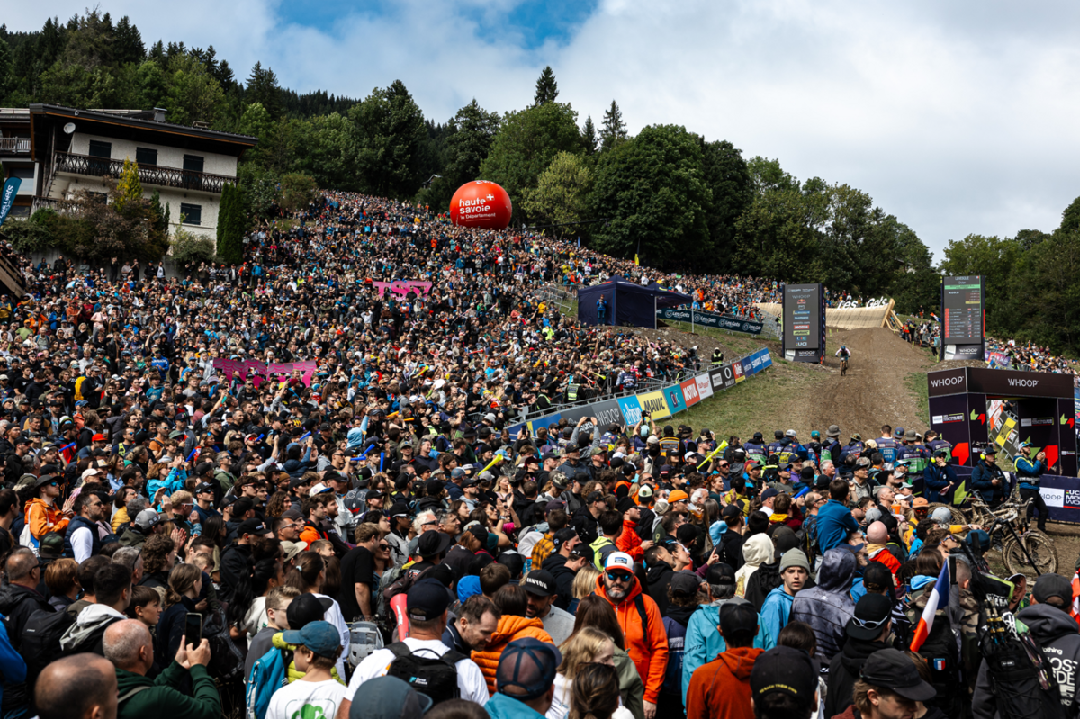 image 562.png?VersionId=u4gz5955mrxEPfA7MFxPQ