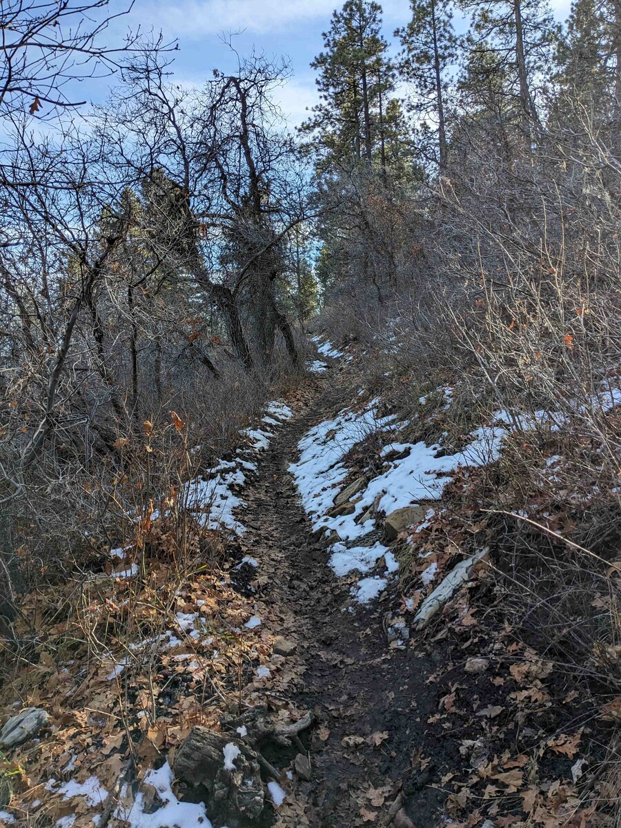 snow1.jpg?VersionId=W4tcVOw8WZg.uSGvu2dWyp 7O