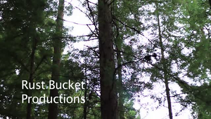 original.png?VersionId=TyXJELMVEHsXV3n