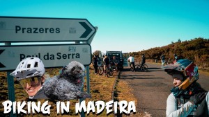 original.png?VersionId=J