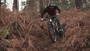 original.png?VersionId=BiC